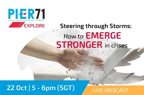 Steering through Storms: How to emerge stronger in crises