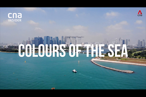 Colours of the Sea